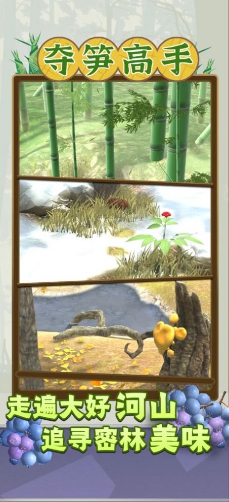 夺笋高手小安卓 图3