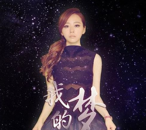 抖音我的梦说别停留等待歌曲歌词分享图片1