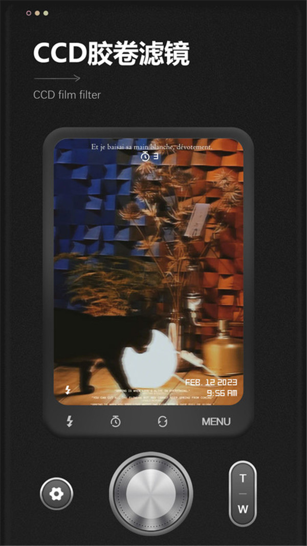 最后一卷胶卷图2