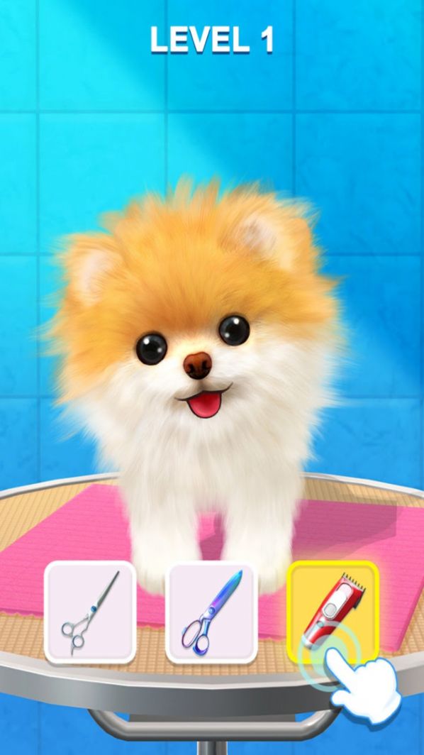 宠物修个毛游戏手机版  v1.0.0图1