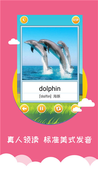 宝宝学英语手机版图3