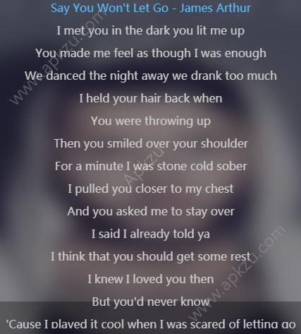 抖音是谁挽住我的狗,后妈使我的碗音译歌曲歌词图片1