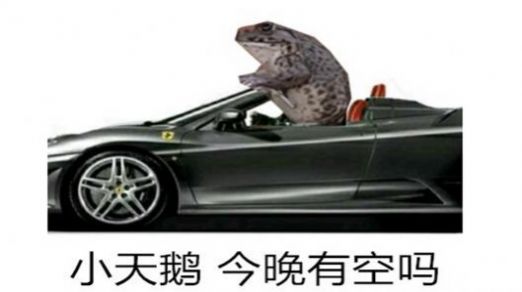 小天鹅出来解解馋表情包抖音表情图下载 v1.0图6