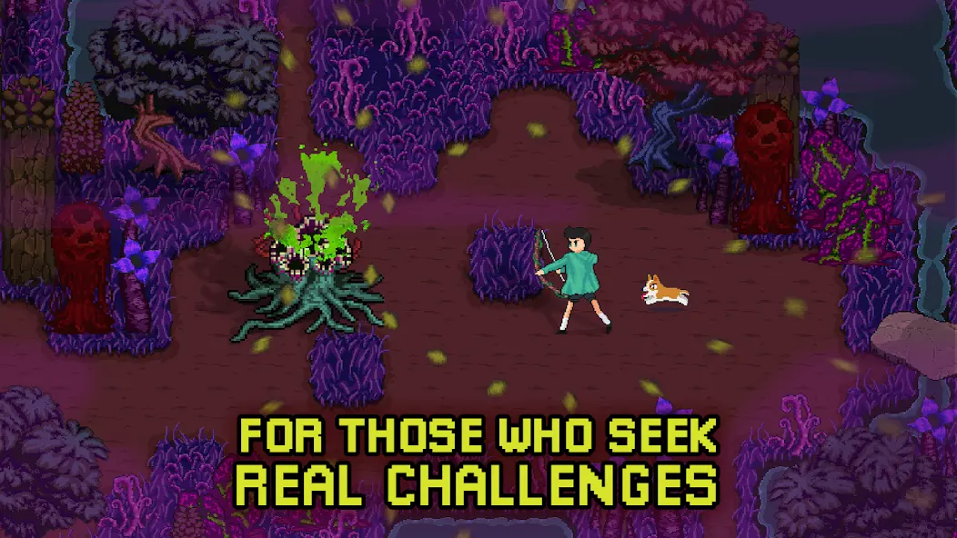 深入萨莫莫镇图3