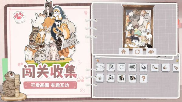 挤在一起的猫猫图3