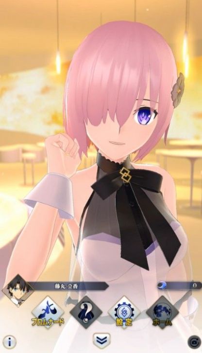 Fate/Grand Order Waltz游戏汉化手机版  v1.0图1