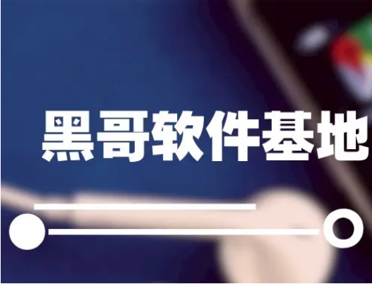 2022黑哥软件学习合集库