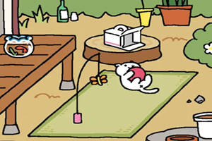 猫咪后院2版本大全