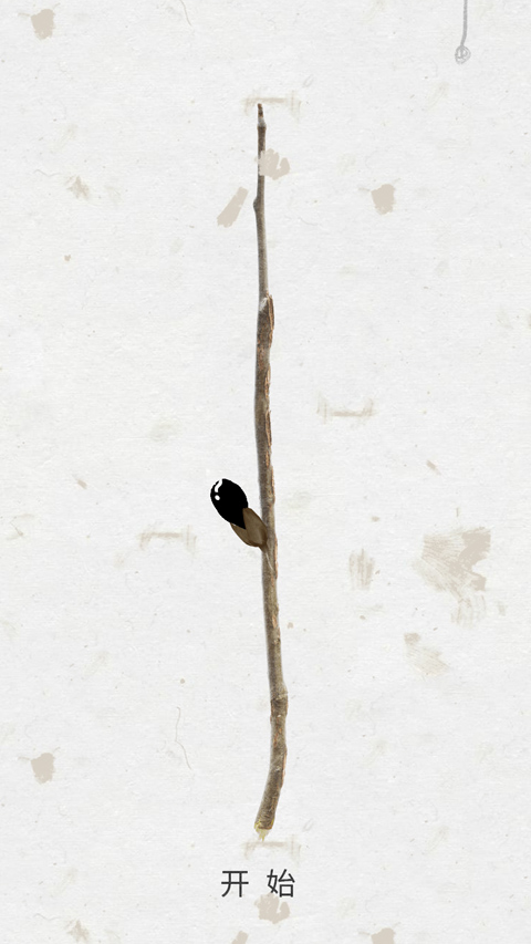 绽放之歌  中文版图3