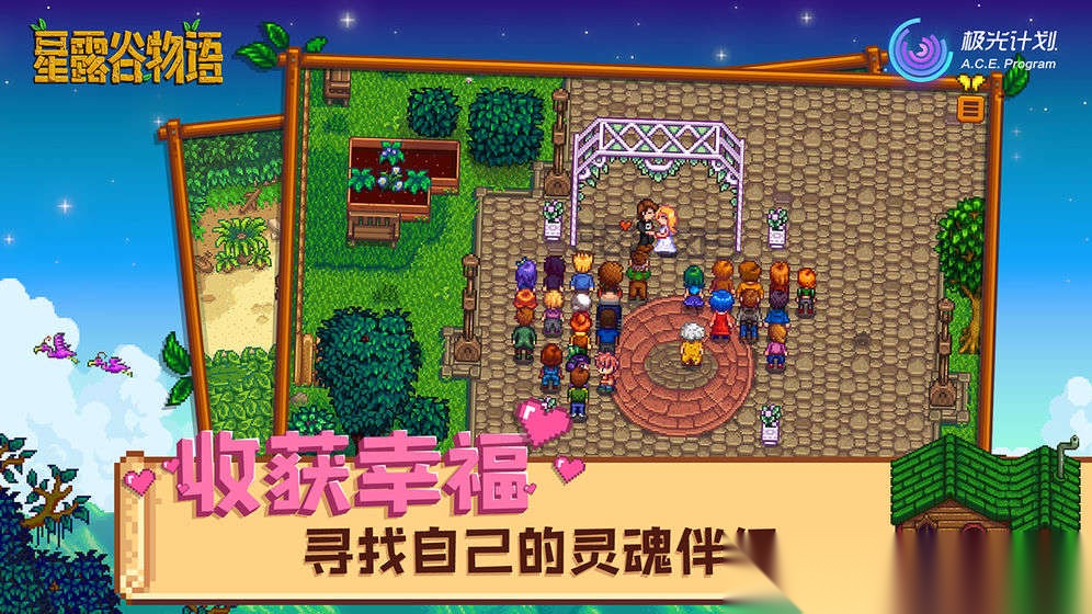 星露谷手机版图2