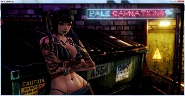 康乃馨俱乐部图3