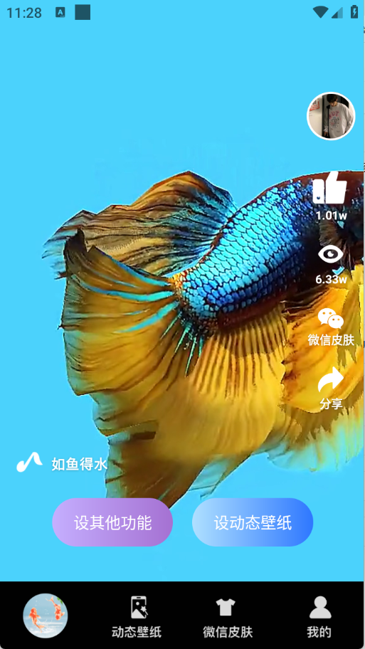 动态养鱼壁纸图4