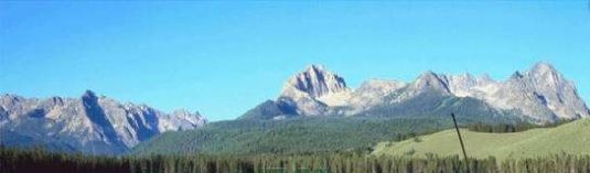 运动钓鱼模拟游戏图2