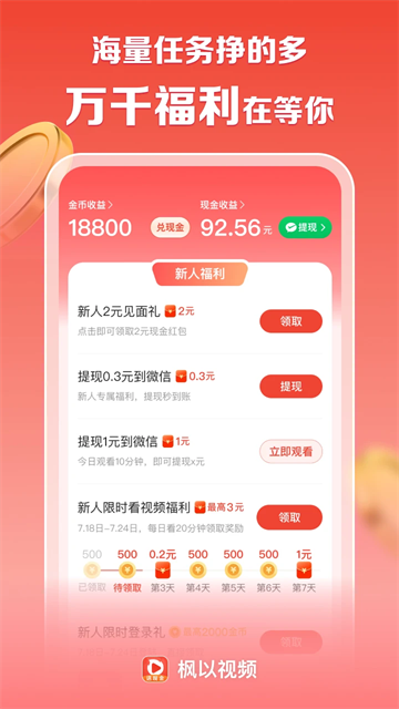 枫以视频图2