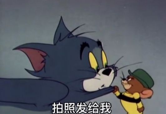 你去拼多多花九块九买条黑丝穿上表情包图4