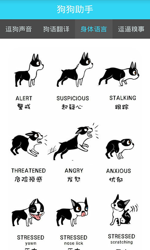 狗狗助手逗狗神器图4