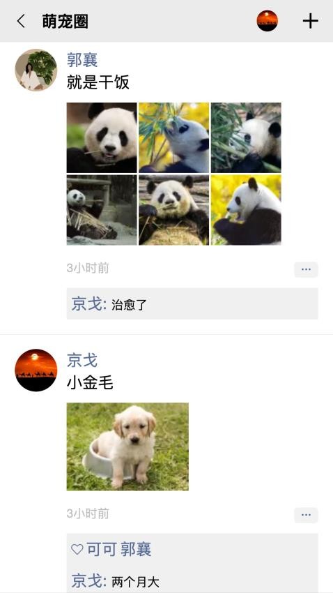 队信软件图3