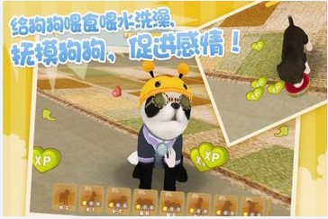 心动小狗伙伴钻石最新安卓版  v1.0图1