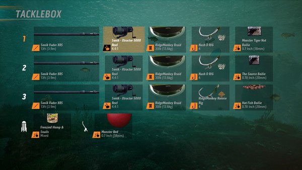 捕获鲤鱼和大鱼游戏图1