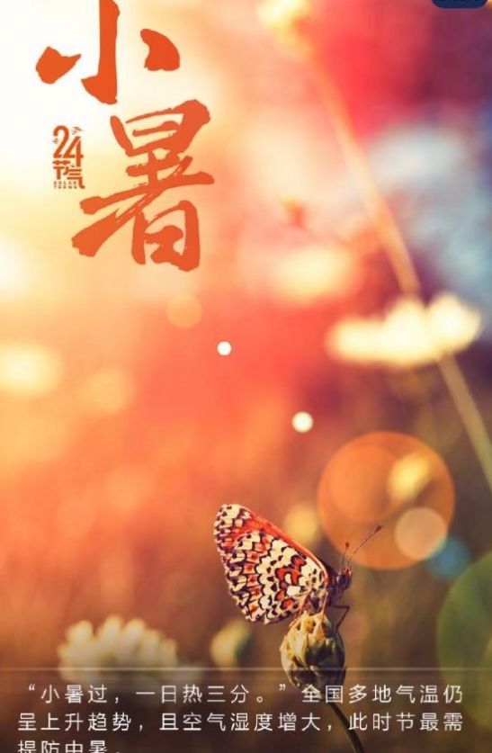 2021年小暑图片图3