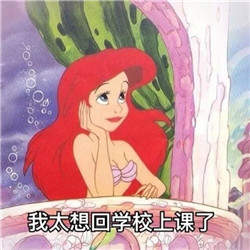 迪士尼公主爱学习头像表情包免费分享  v1.0图2