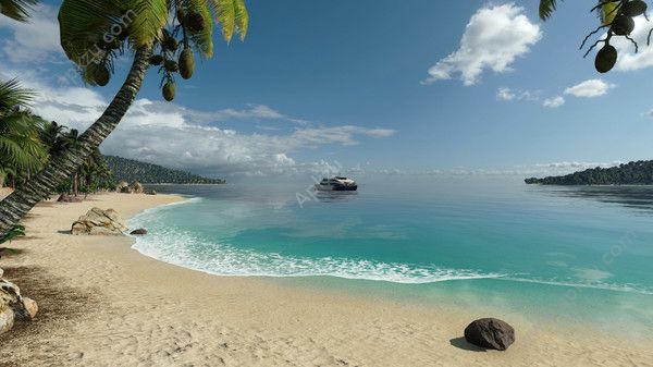 狂热运输2手机版图2