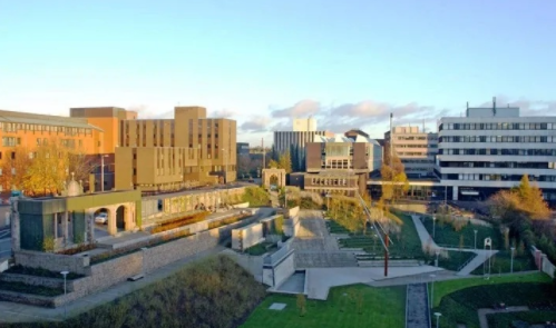 2021金丝利零售学院认证考试app合集