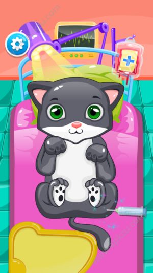 萌猫宠物医院游戏图3