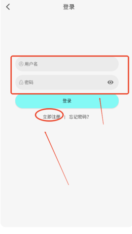 次元派对纯净版图13