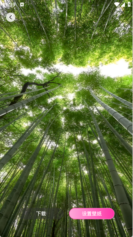 手机心动壁纸图2