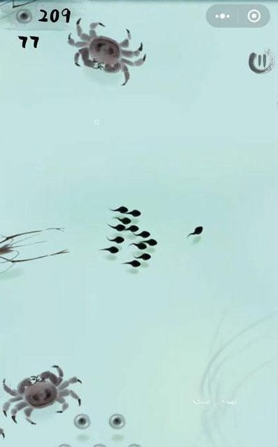 抖音墨虾探蝌小游戏安卓版  v1.0图4