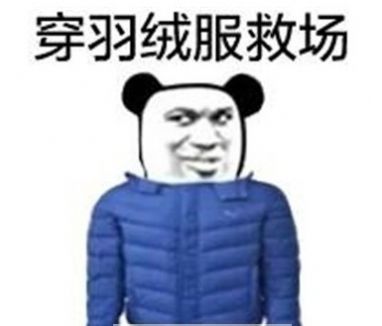 有人拼羽绒服吗图片图2