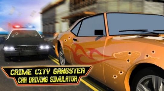 多合一驾驶模拟安卓版  v1.0.0图4