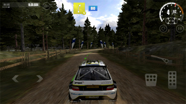 拉力竞速3图3