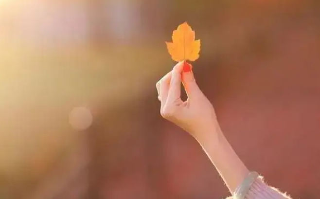 在微密圏男男的圈免费合集