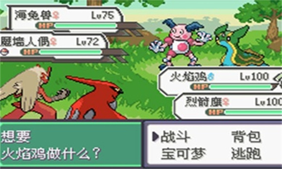 口袋妖怪究极绿宝石5图1