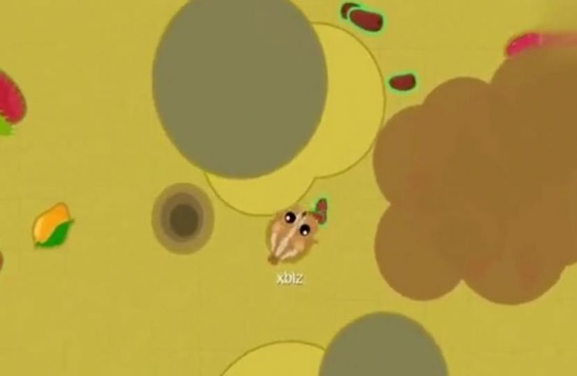 海洋生物进化游戏图4