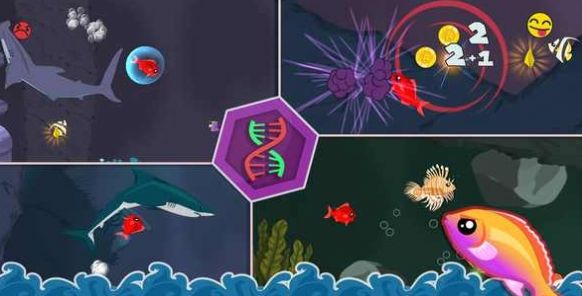 饥饿的小红鱼最新版 图3