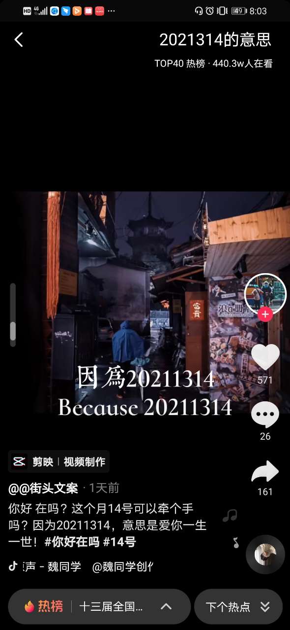 2021314意思是爱你一生一世图片图2