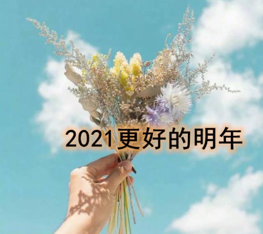 2021 更好的明年图片高清版图3