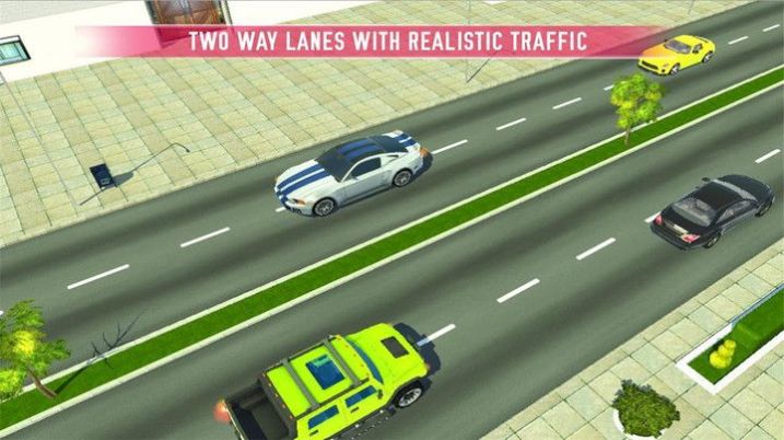 驾校欢迎你游戏图1