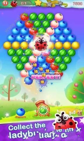 水果泡沫安卓版图4