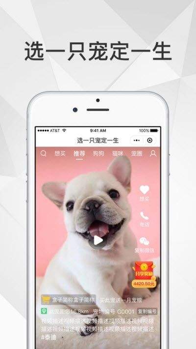 奶宠宠物短视频app图2