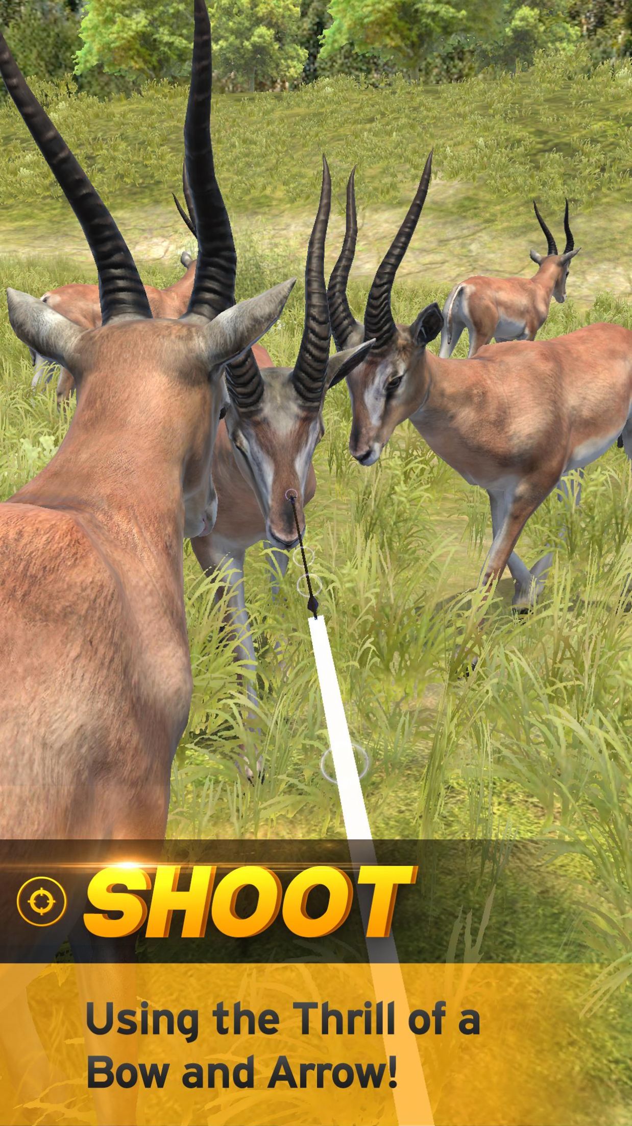 Archery Hunting游戏中文安卓版  v1.0.3图1