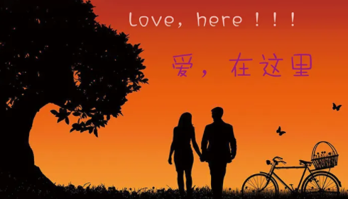 菊花app应用合集