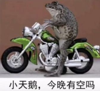 小天鹅出来解解馋表情包抖音表情图下载 v1.0图2