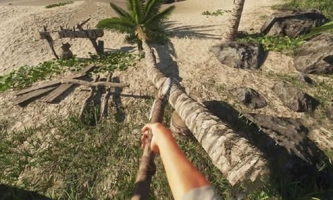 荒岛危机生存模拟中文手机版 v1.0图2