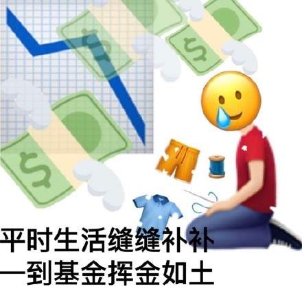 炒基金表情包图4