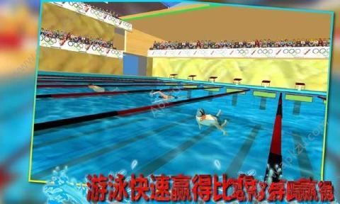 真实游泳模拟器金币中文安卓版（Real Pool Swimming）  v1.2.4图5