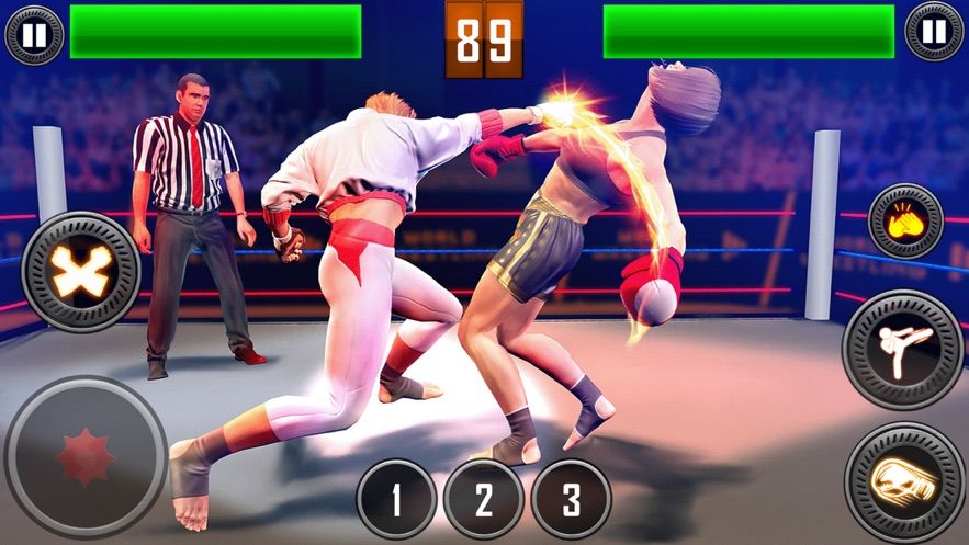 真实摔跤对战2020游戏图1